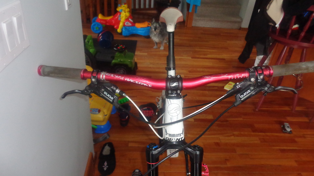 2013 Giant Reign
