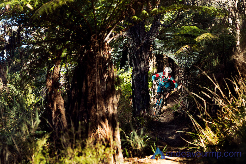 We spent the afternoon with Meg Bichard in Nelson, photographing her riding some of her local trails for an article in NZMTBR Magazine (issue 79)