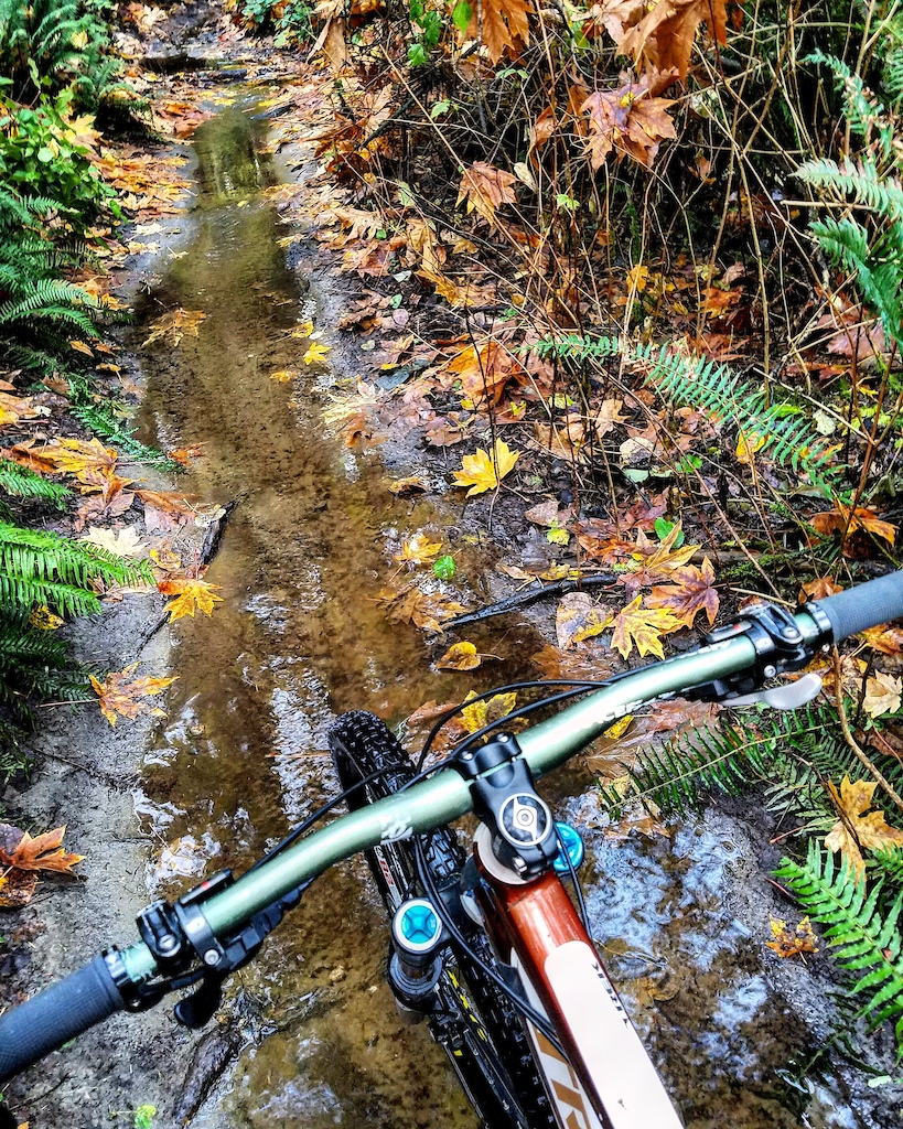 When it rains a ton and you finally get a sunny day and think that the trails will be in fine condition.