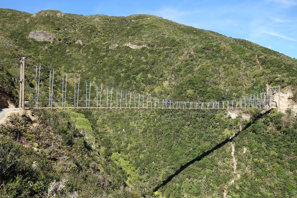 The Wild at Heart bridge on Upswing, the new climbing track at Makara Peak Mountain Bike Park