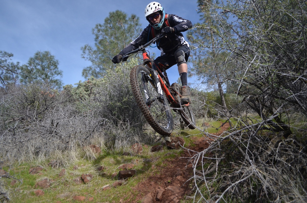Brooks flying downhill on a tight section of singletrack.