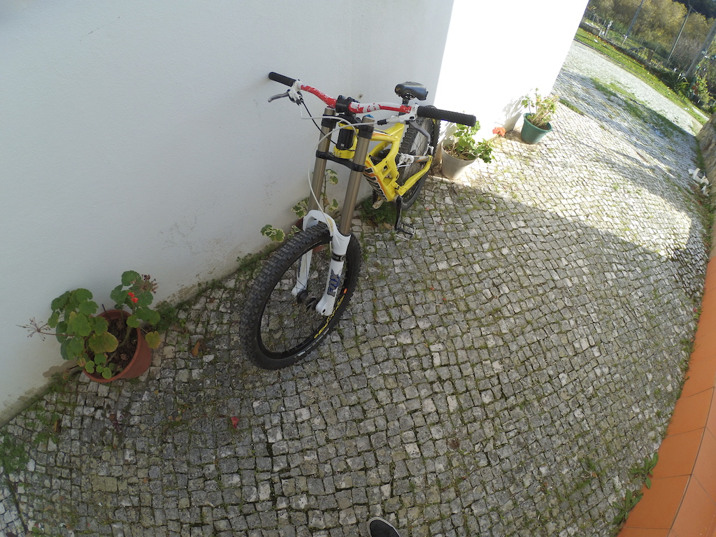 Scott Gambler DH 10