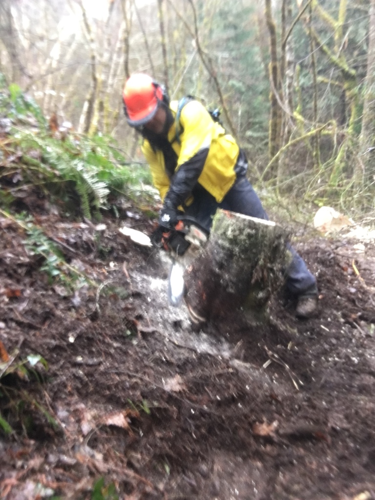 Sawing out downfall for 4 hours in pouring cold rain. NWTA Trail Crew getting it opened up.