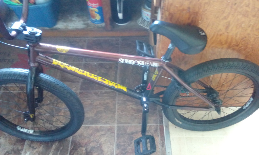 my son bike go stolen in edm  calling wood  skate park   if u see let us  know   bike from bear shop  st paul alberta