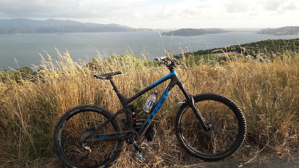 The Remedy with a new DT Swiss 502 rear rim and flats.