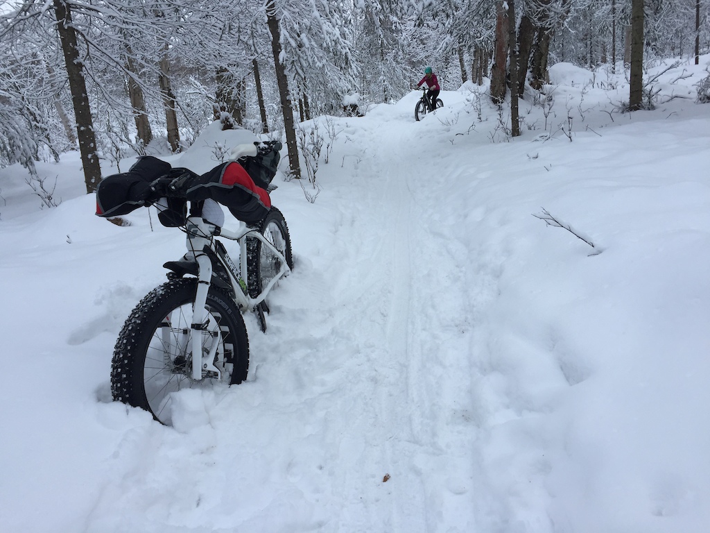 Rover's Run on Trails Day, Jan. 28th 2017, near Campbell Creek Science Center.  Fresh snow with a thin packed path to follow and soft sides.  It was a true balance test.