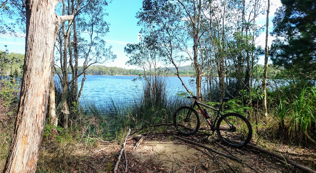 One of the viewing points along the Ferny Forest loop at Ewen Maddock Dam.