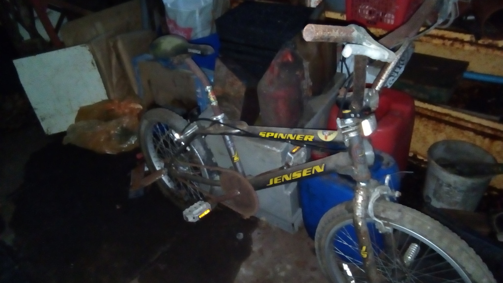 The old bmx I'm currently doing up ????