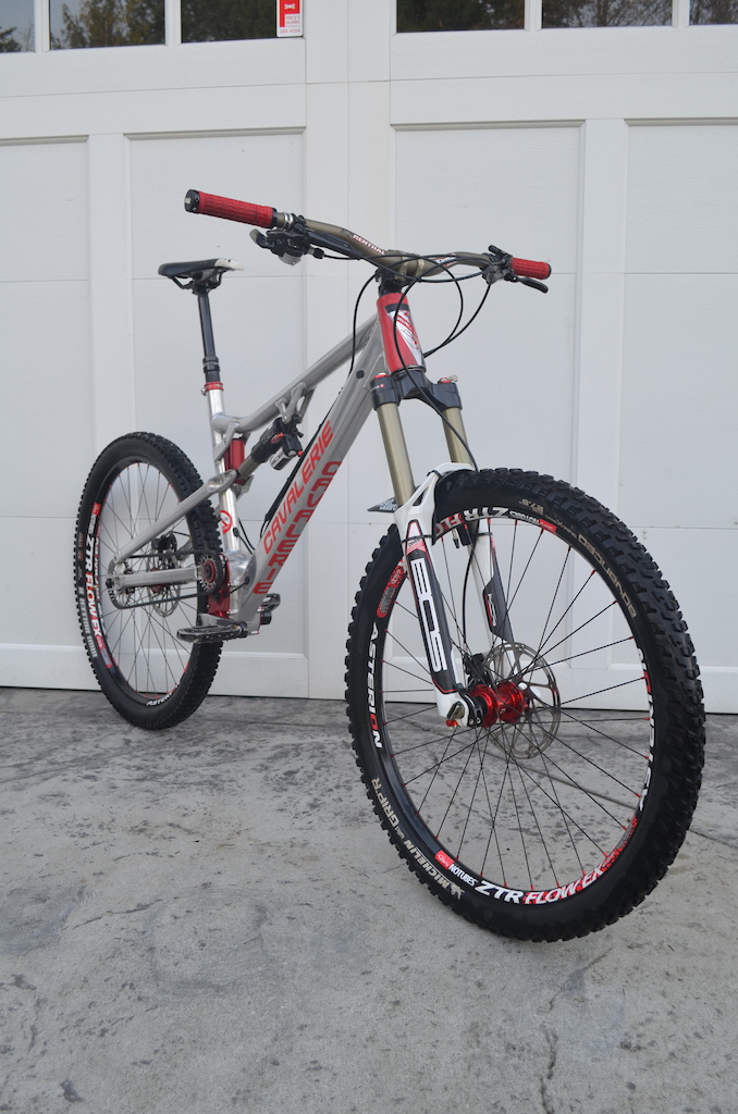 2016 Cavalerie Anakin