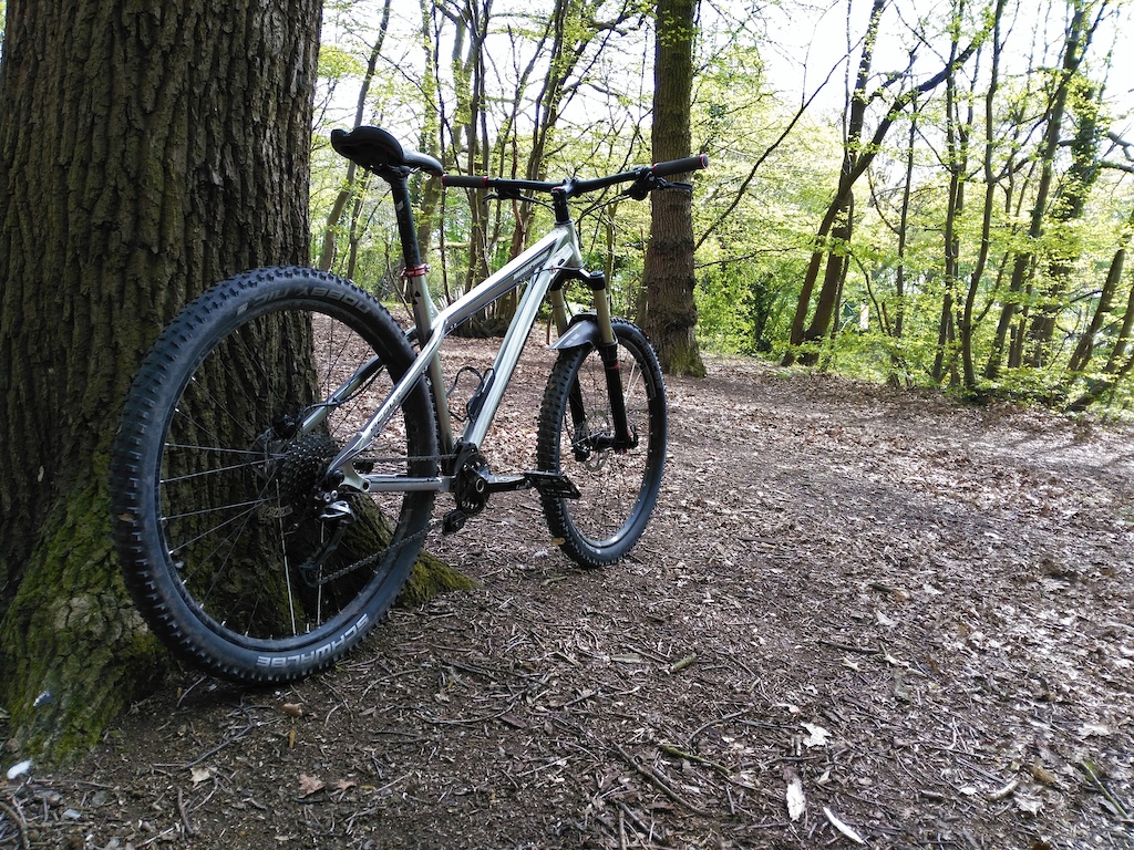 Took some better photos while out ragging around the woods today hitting a few jumps and turns. Super fun ride :D