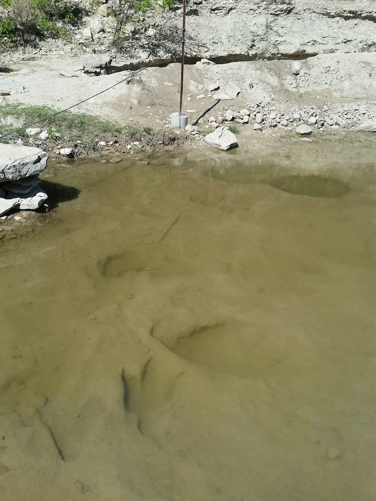 More prints in the submerged Paluxy River bed at Dinosaur Valley