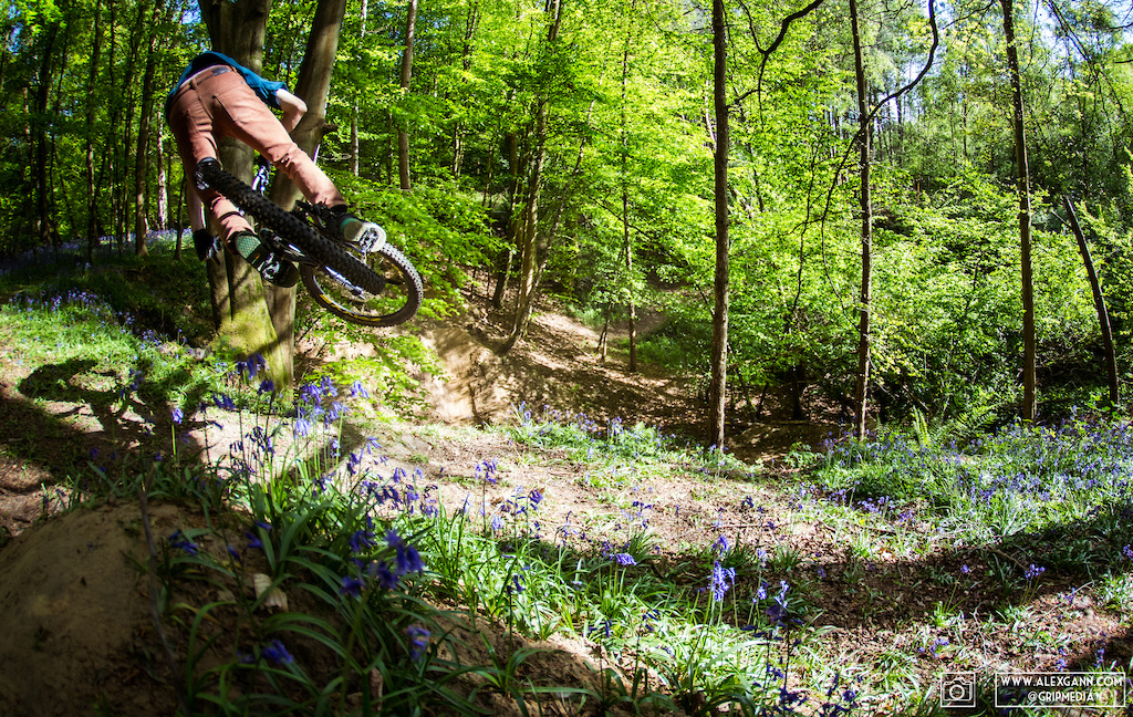 Just a normal afternoon in the woods for Myself and Phil, collecting bangers amongst the bluebells.