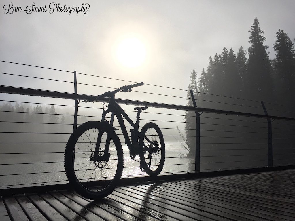 2016 Norco Sight