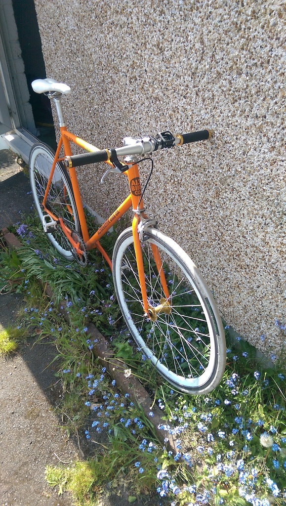 2013 Alternatives Bikes Co. Speedsta L