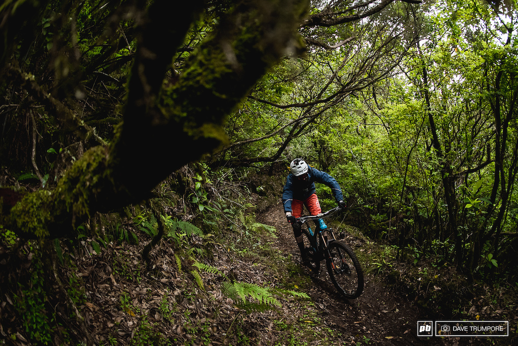 While stages 1 and 2 traverse the high ride lines above Machico, stage 3 dives into the trees.