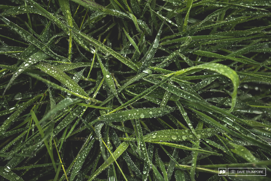Always moist in Madeira.