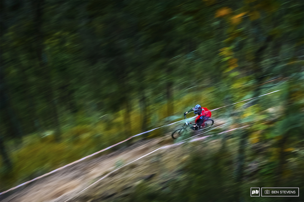 Flying through the trees