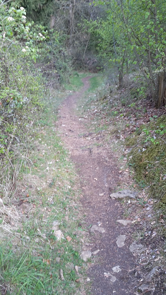 Trail Eingang auf der linken Seite