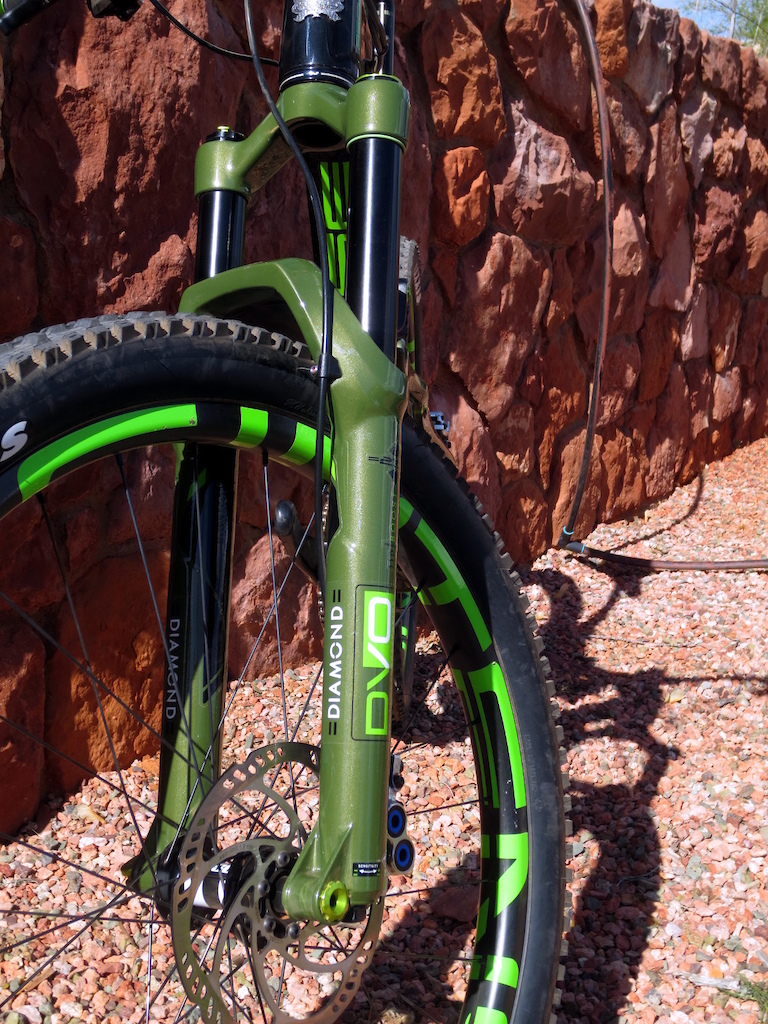 intense recluse carbon