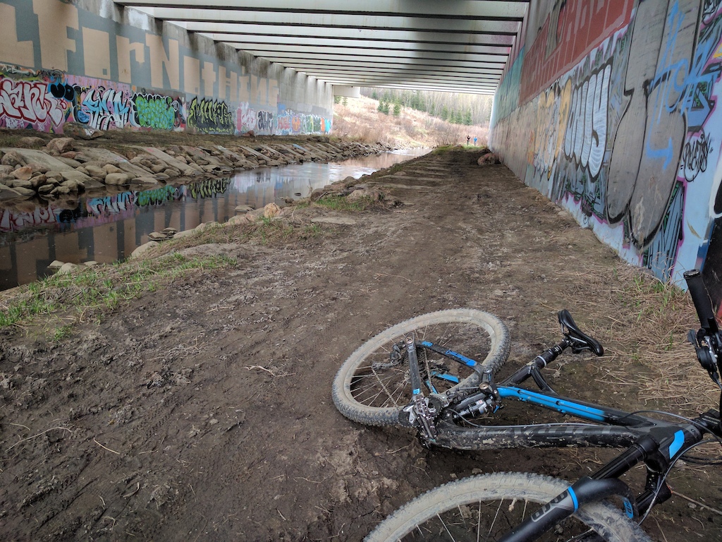Under the henday bridge at magtagart sanctuary, waiting for the rain to pass.