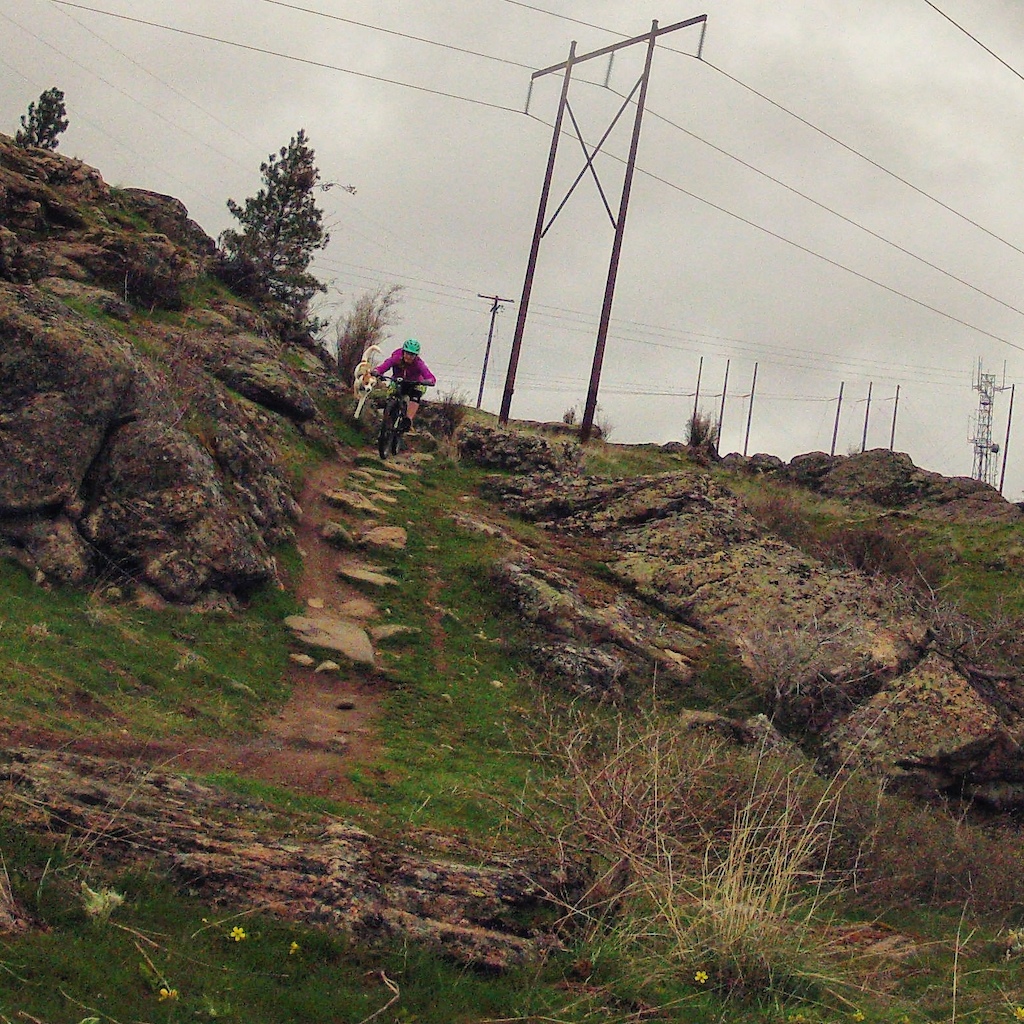 Top mid section of Pop Rocks, several fun rock gardens.