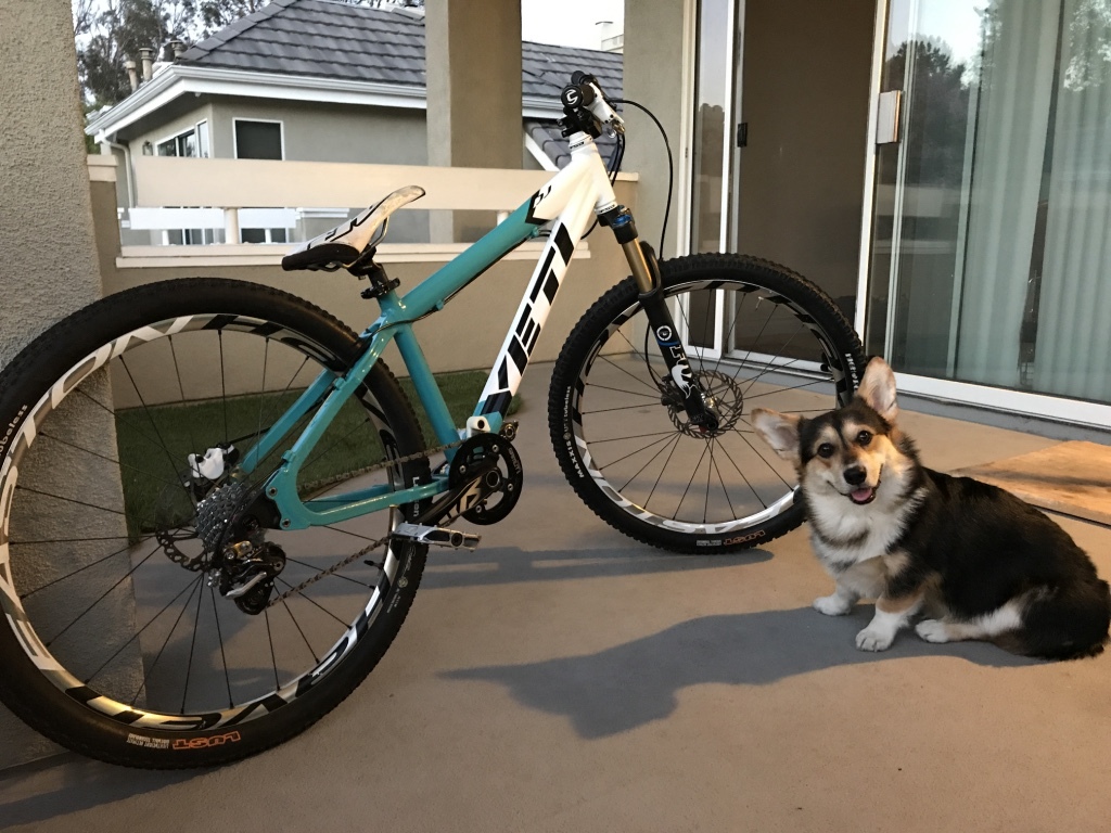 2011 yeti dj (4x beast)