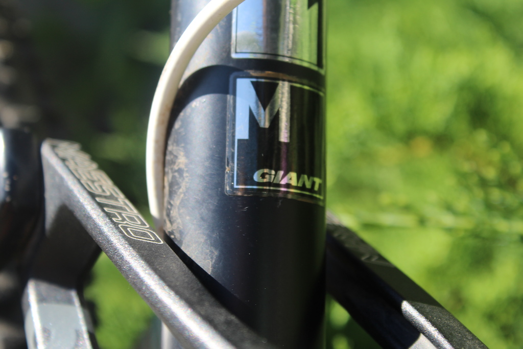 2012 Giant Reign SX
