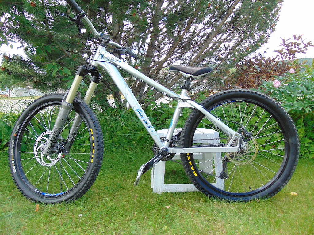 2008 Norco Sasquatch. Rockshox Totems. She`s a work in progress but fun to rip around on.