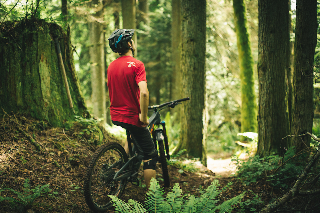 Riding bikes and taking in nature.