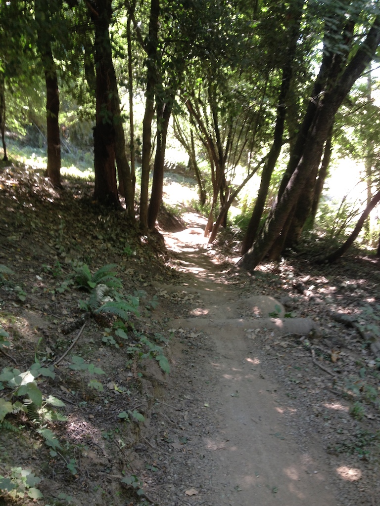 a little rock and log hop fun-ness on Cliff Trail