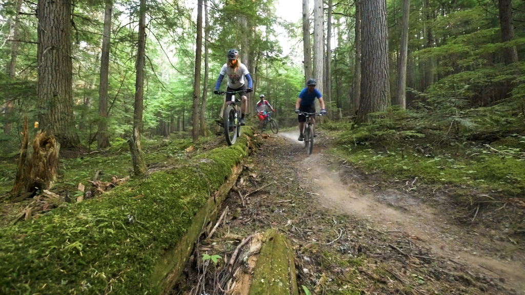 Silverstar Bike Park: Beowulf is Here