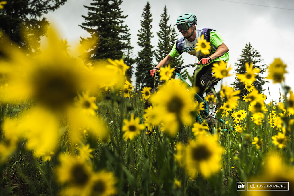 Chris Seager amongst the wild flowers.
