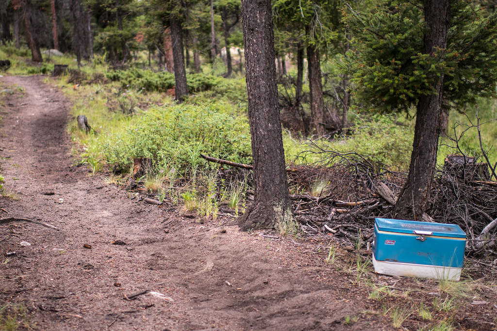 Colorado Trail Race - Recap and Results