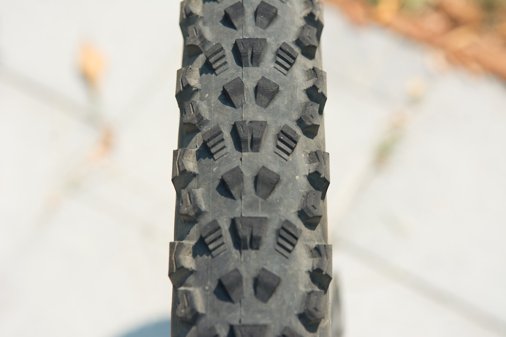 Maxxis griffin hot sale 29