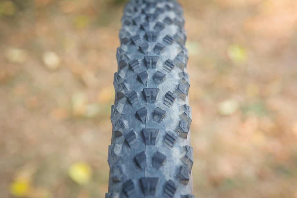Maxxis Griffin