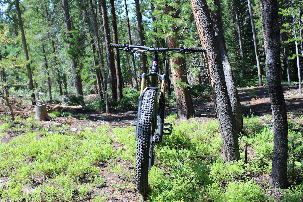 2017 Rocky Mountian Pipeline 770 MSL