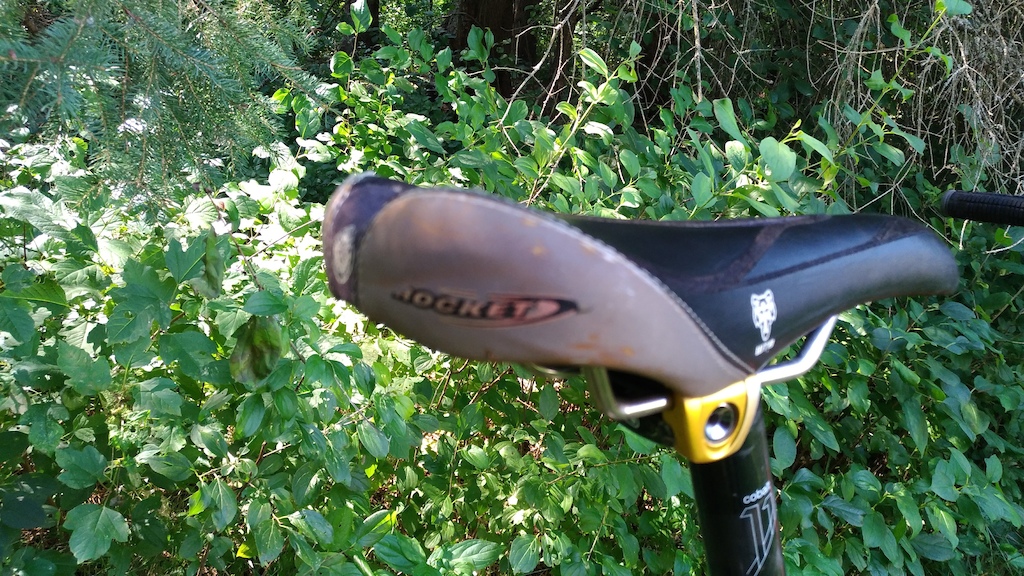 2010 Mongoose Canaan Team