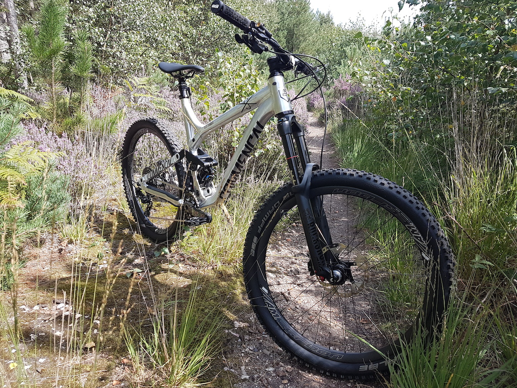 2015 Commencal Meta SX, rawed and brushed.