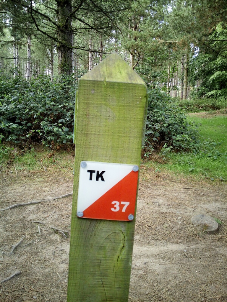 The marker post useful as a starter for some of the trails