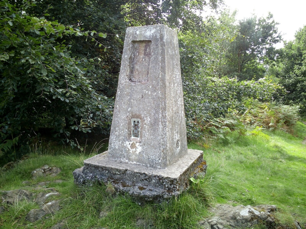 The now redundant trig point surrounded by trees