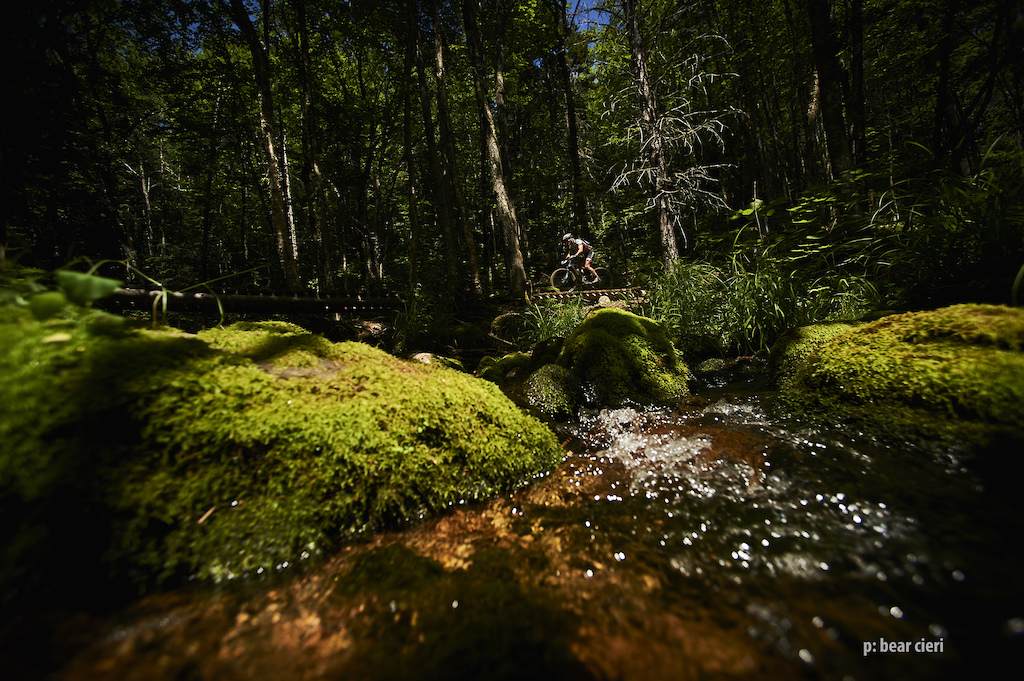 "The lulling sounds of a mountain creek welcomes riders." 

Quebec Singletrack Experience. Day 3 at Mount St Anne. 

43 km (26.7 miles)
photo by Bear Cieri