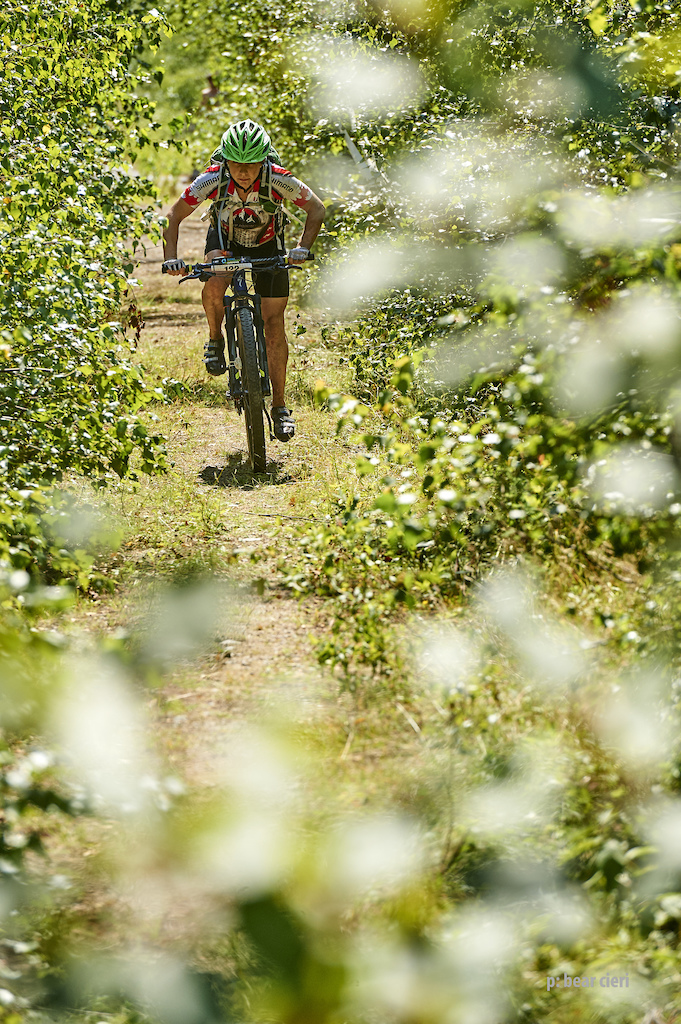 "Guylaine Mailloux pushing through the shimmer and Birches."

Quebec Singletrack Experience. Day 4 at Valcartier 

25 km (15.5 miles)
photo by Bear Cieri