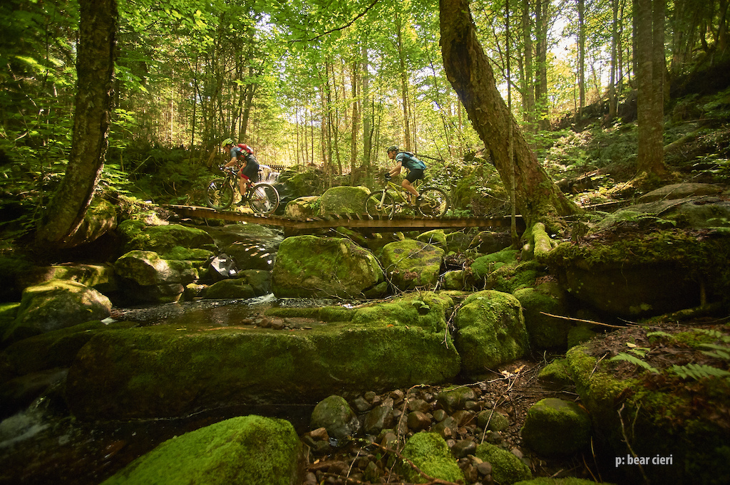 "But the view would be beautiful."

Quebec Singletrack Experience. Day 5 at VallÃ©e Bras du Nord - Shannahan.
46.1 km (28.6 miles)
photo by Bear Cieri