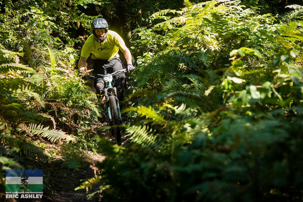 Kevin Quillan wades through a deep thicket of ferns at the bottom of the final stage (Pro Men).