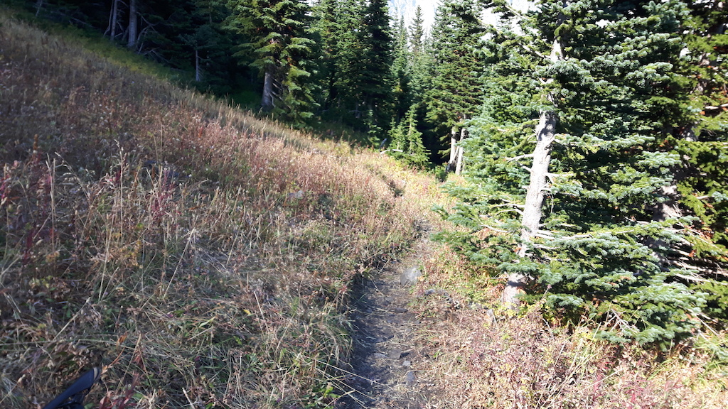 Rickert's Pass trail