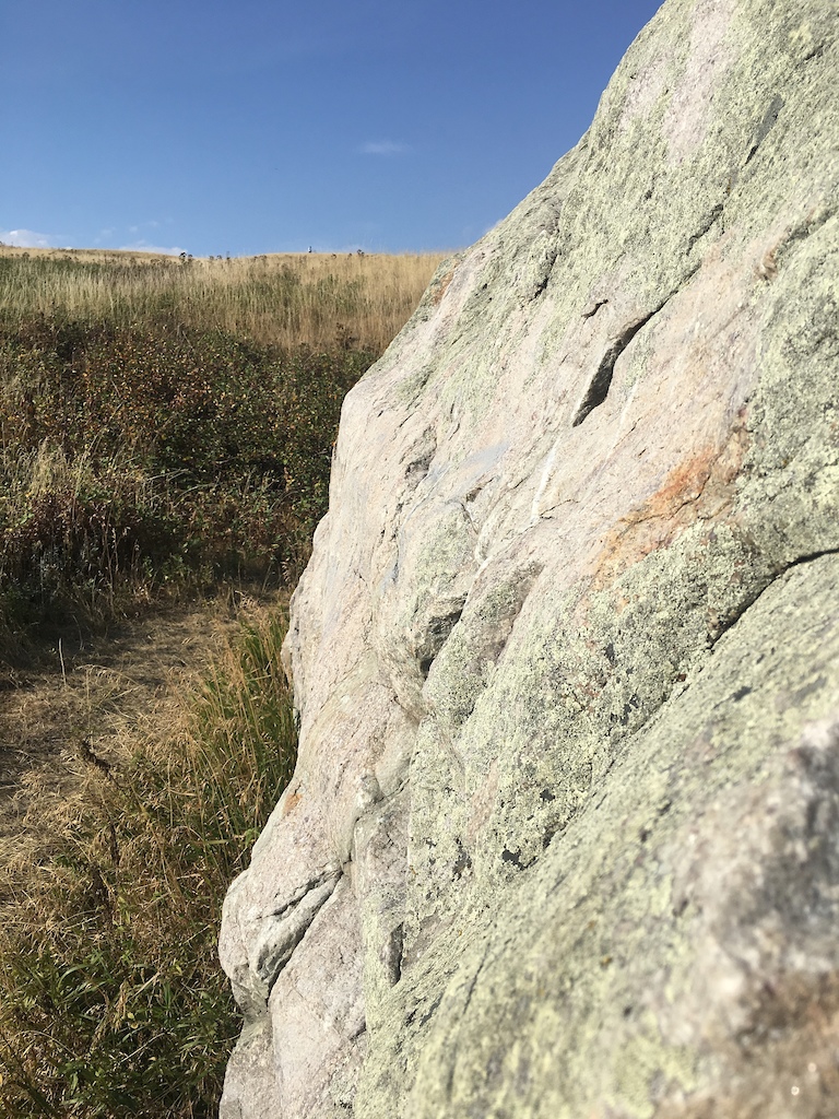 Glacial Erratic on Nose Hill