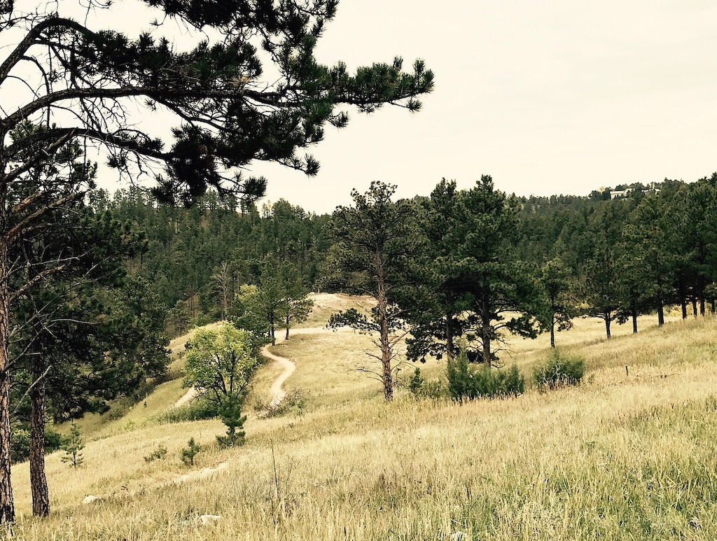 A winding trail through open grassland and scattered pine trees with distant forest views.
