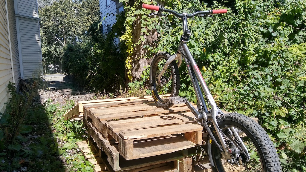 building some obstacles at lunch behind the bike shop...