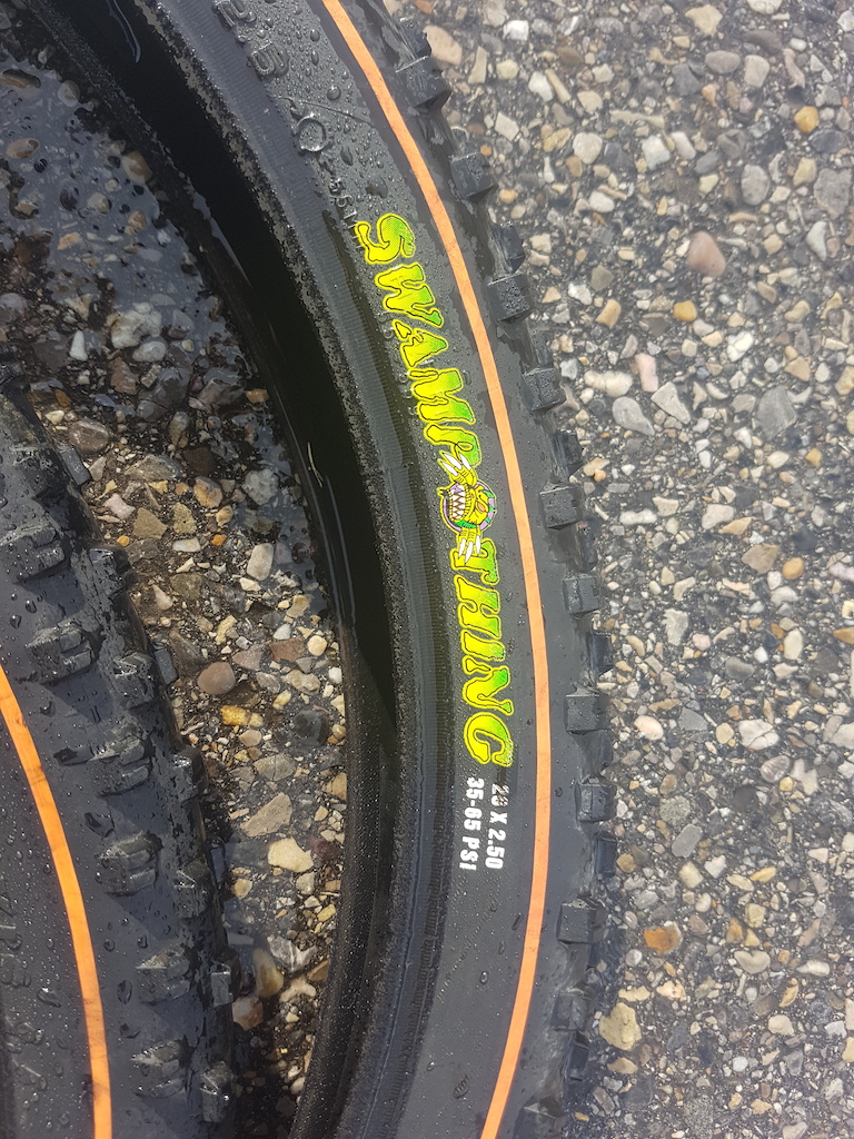 26" Maxxis Swamp Thing DH/mud tires