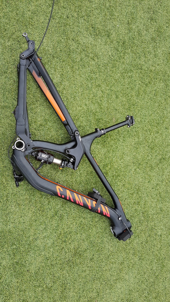 canyon strive frame